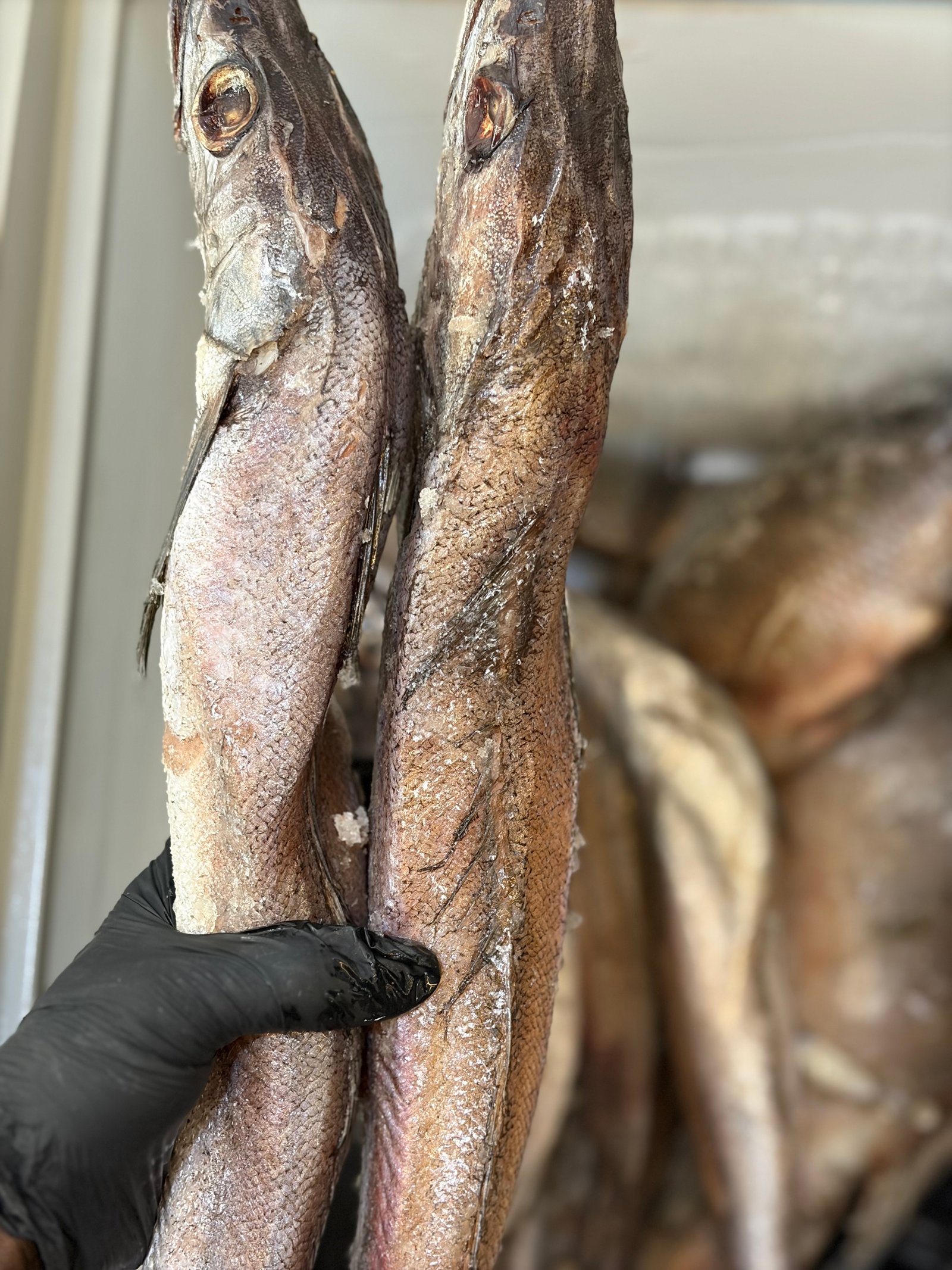 IMG_3349 Hake fish 1kg