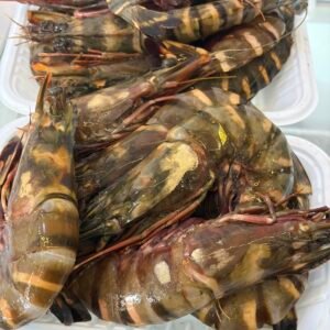 IMG_3580 FRESH PRAWNS