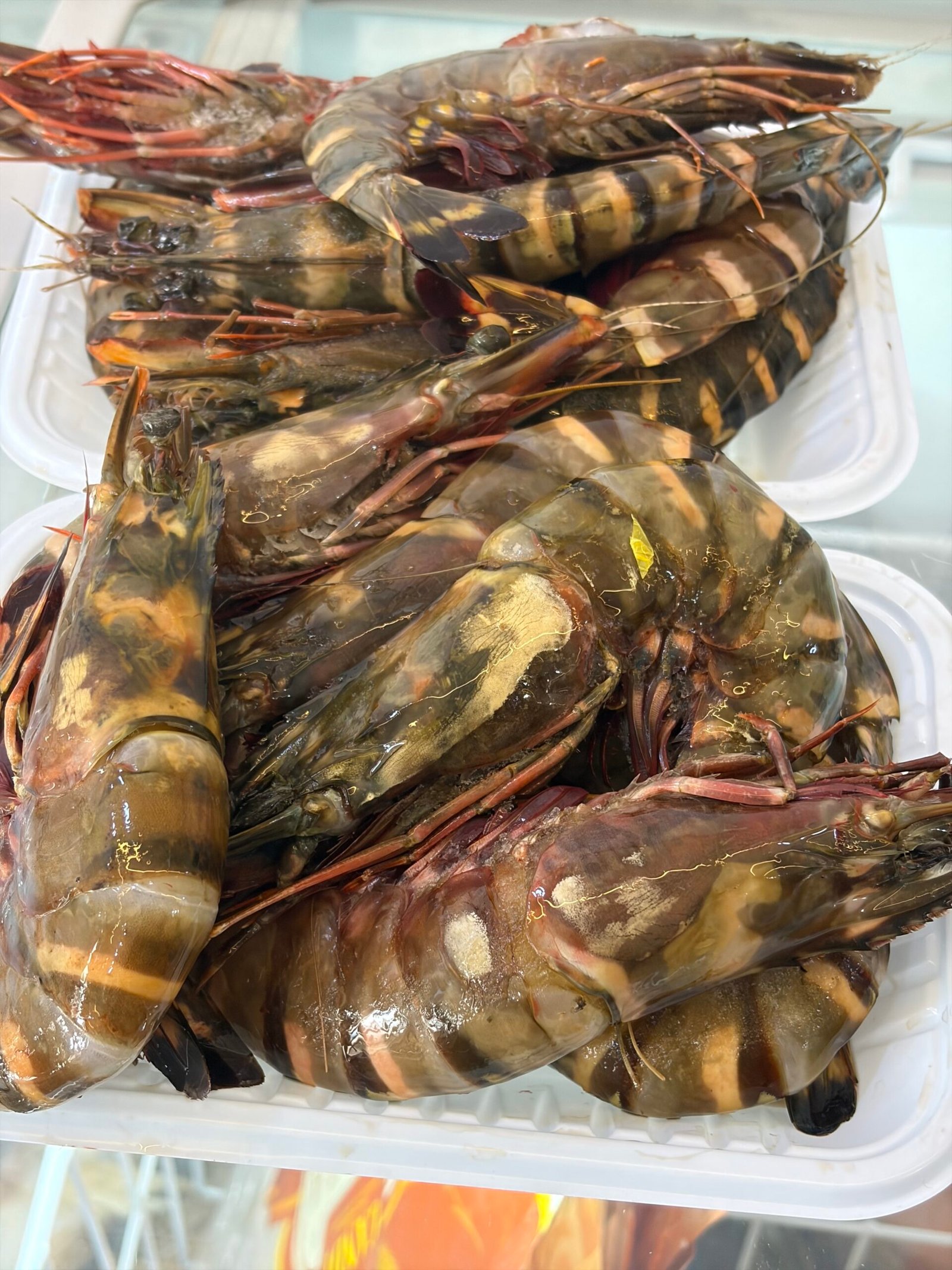 IMG_3580 FRESH PRAWNS