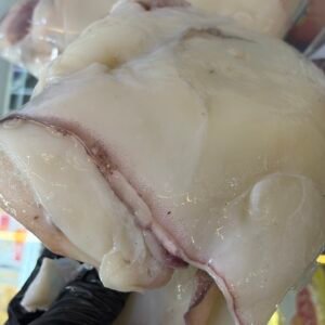 IMG_3582 FRESH CALAMARI 1kg